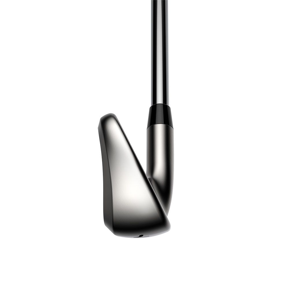 COBRA Cobra DS-ADAPT Steel Irons