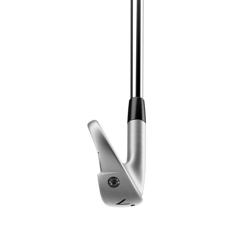 TAYLORMADE Taylormade P790 2023 Steel Irons