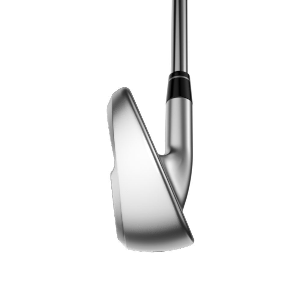 CALLAWAY Callaway Apex Ai 300 Steel Irons