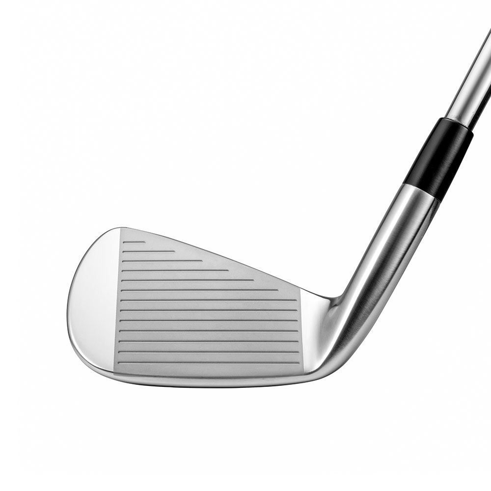 MIZUNO Mizuno Pro 223 Steel Irons