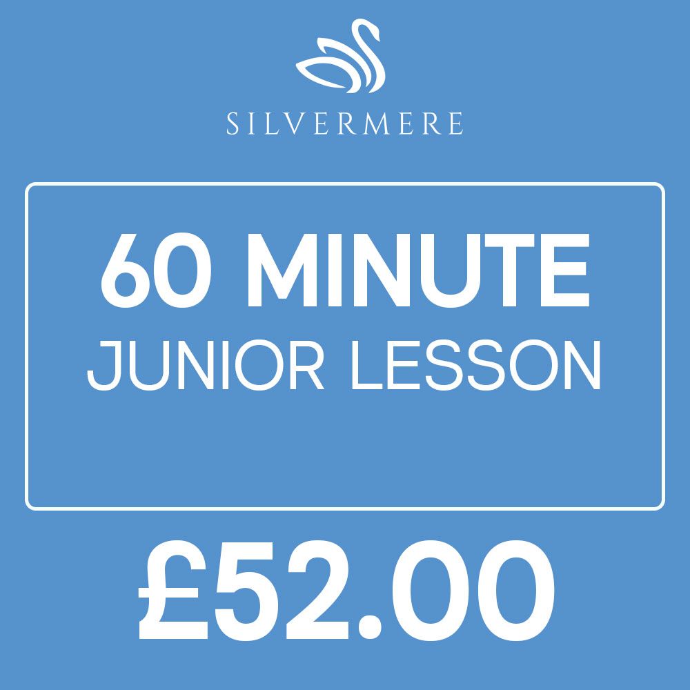 1 Hour Junior Golf Lesson