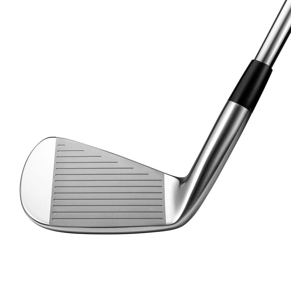 MIZUNO Mizuno Pro 221 Steel Irons