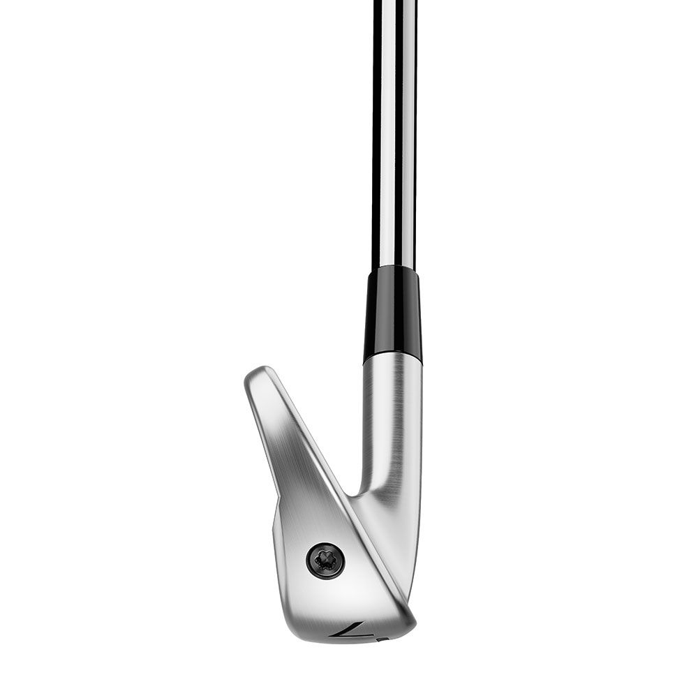 TAYLORMADE Taylormade P790 2025 Steel Irons