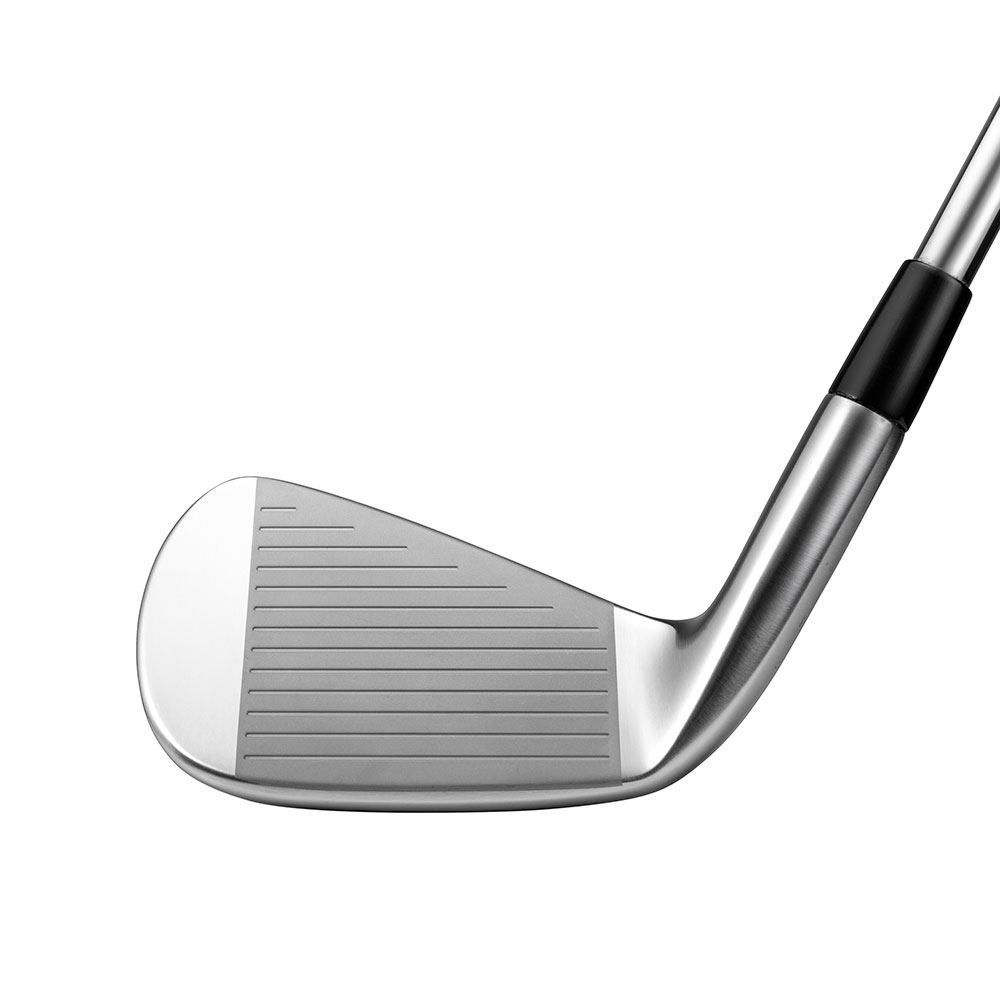 MIZUNO Mizuno Pro 225 Steel Irons