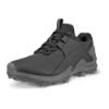 Ecco Biom Tour Black 131904 01001